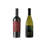 PACK - Cata Bodega CAELUM (Vino Blanco Fiano Gran Reserva + Vino Tinto Malbec Reserva)