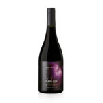 BODEGA CAELUM - Vino Tinto Pinot Noir Gran Reserva 2021 - 750ml